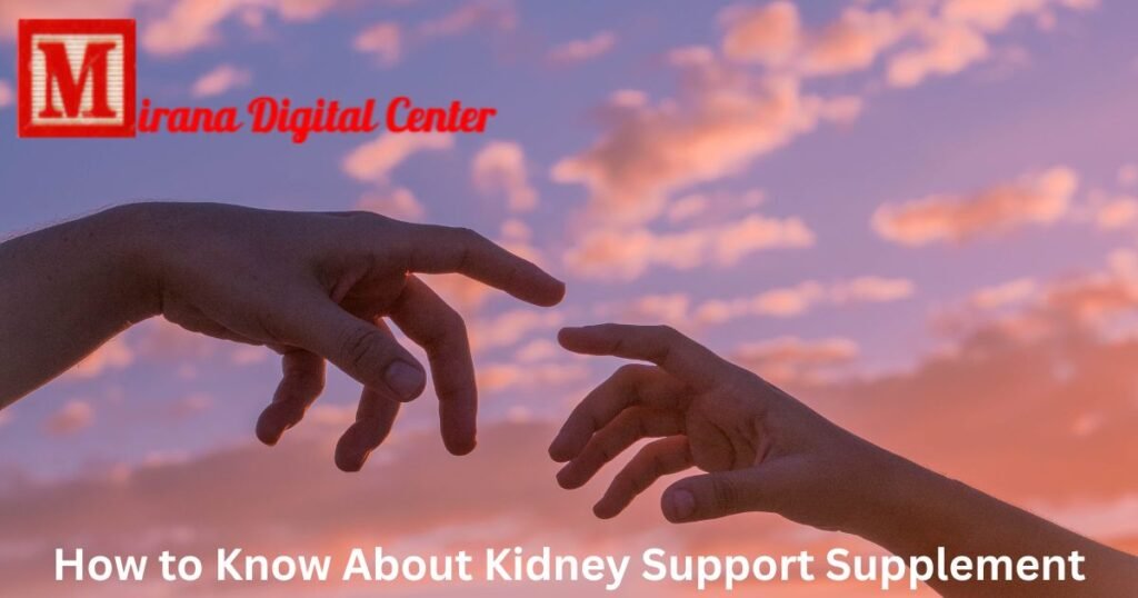 Kidney Support Supplements