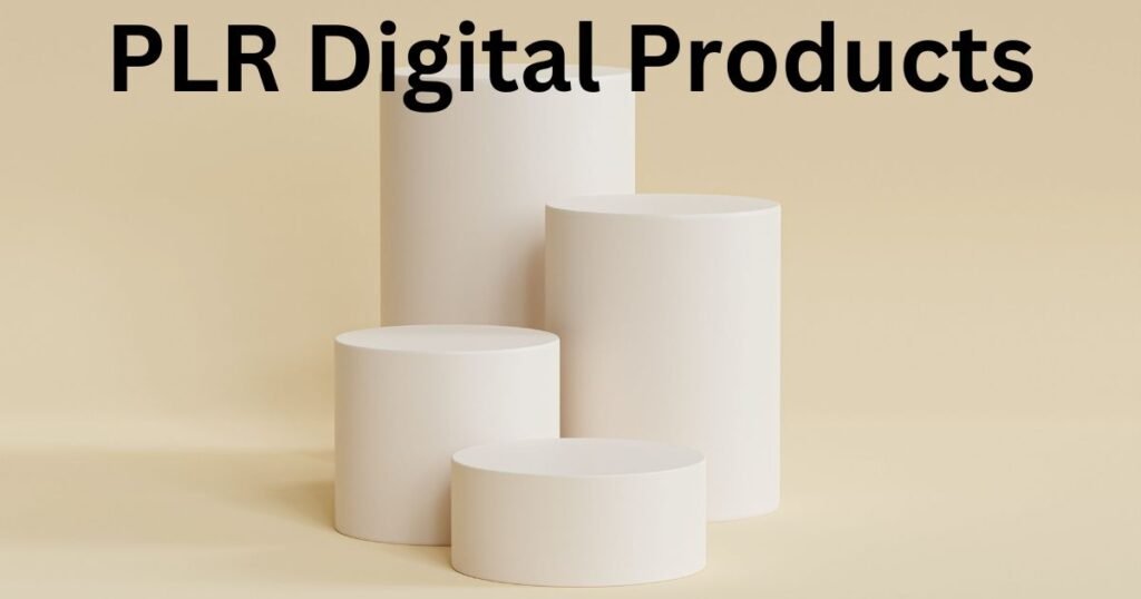 PLR Digital Products